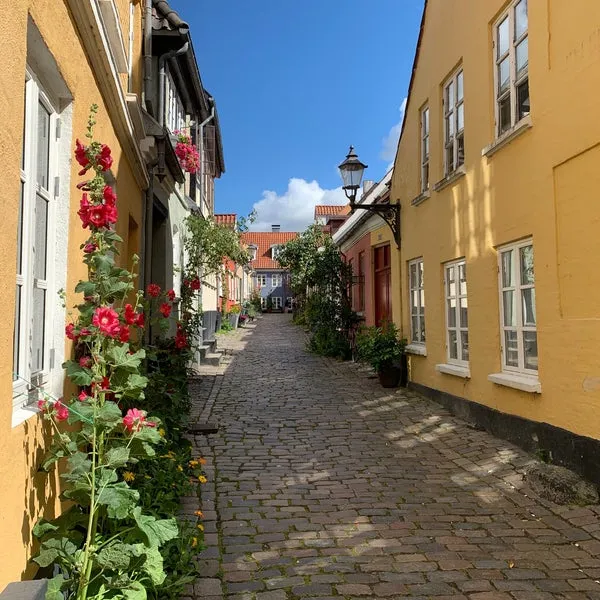 Street with cobblestone, surrounded by colorful houses