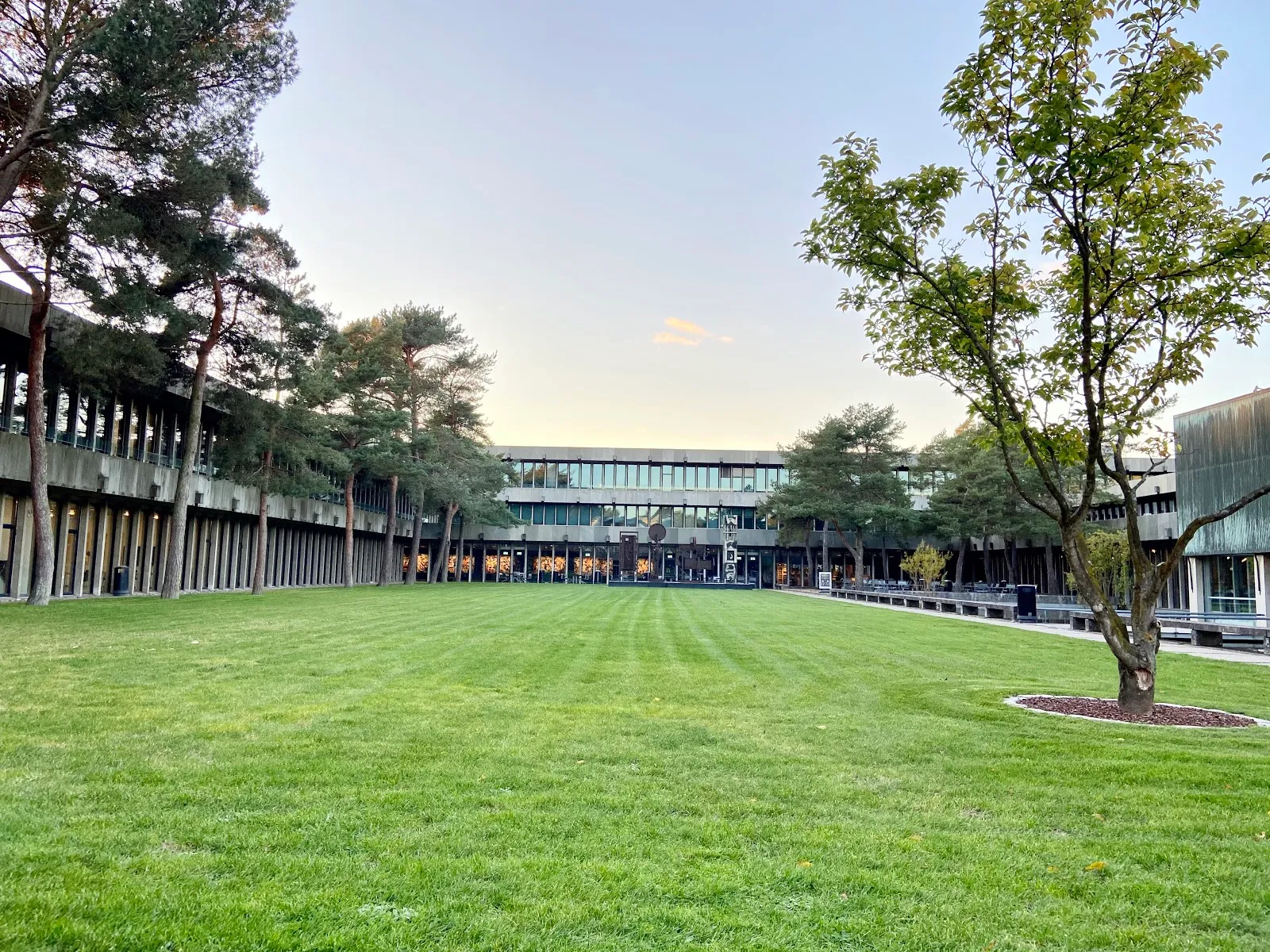 DTU Green Space