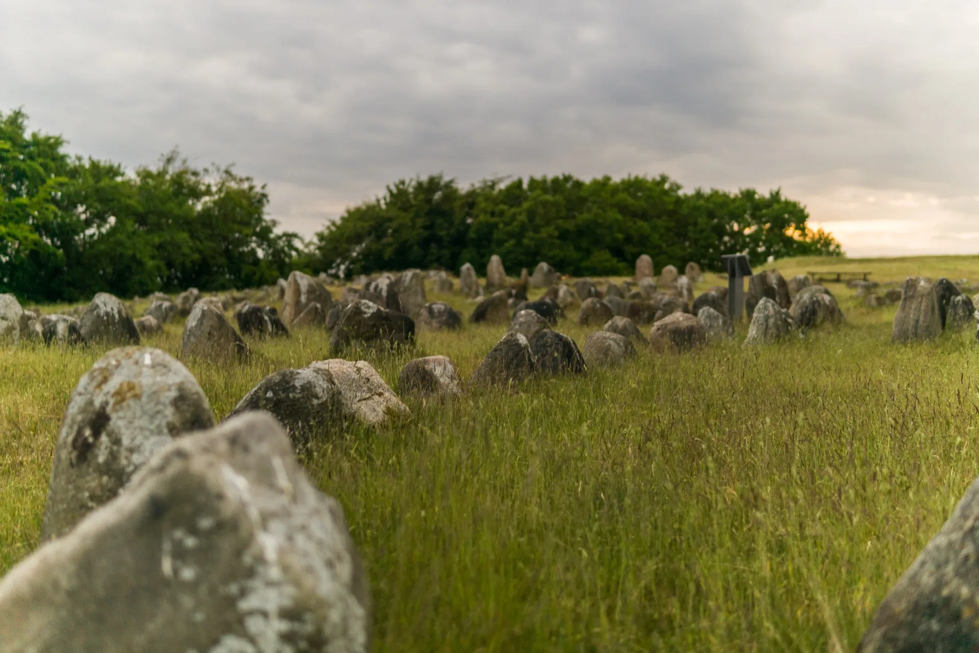 rocks spread on a field