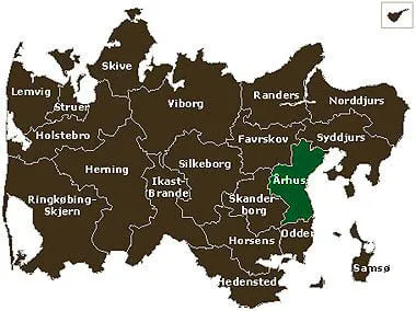 Can internationals in Denmark vote