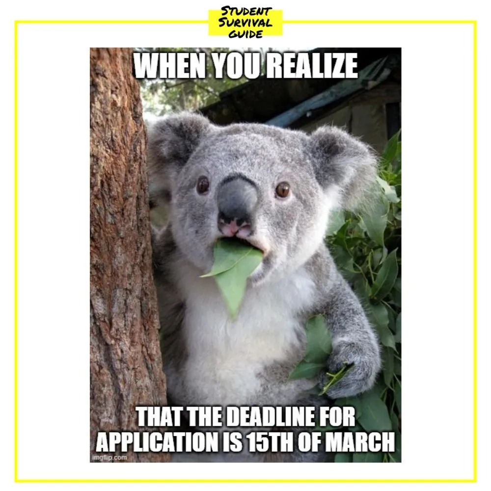 Koala eating leaves meme: when you realize that the deadline for application is 15th of March.