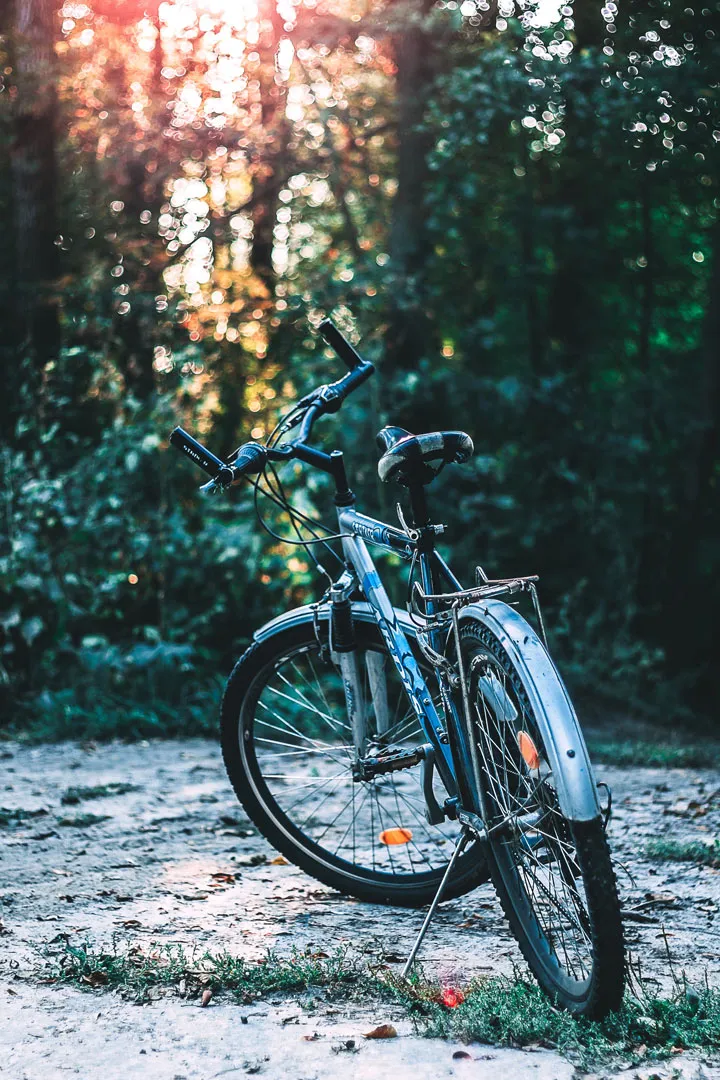 Bicycle