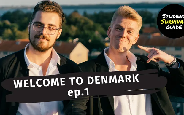 Denmark 101