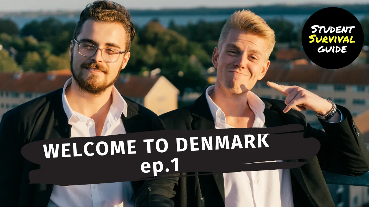 Denmark 101