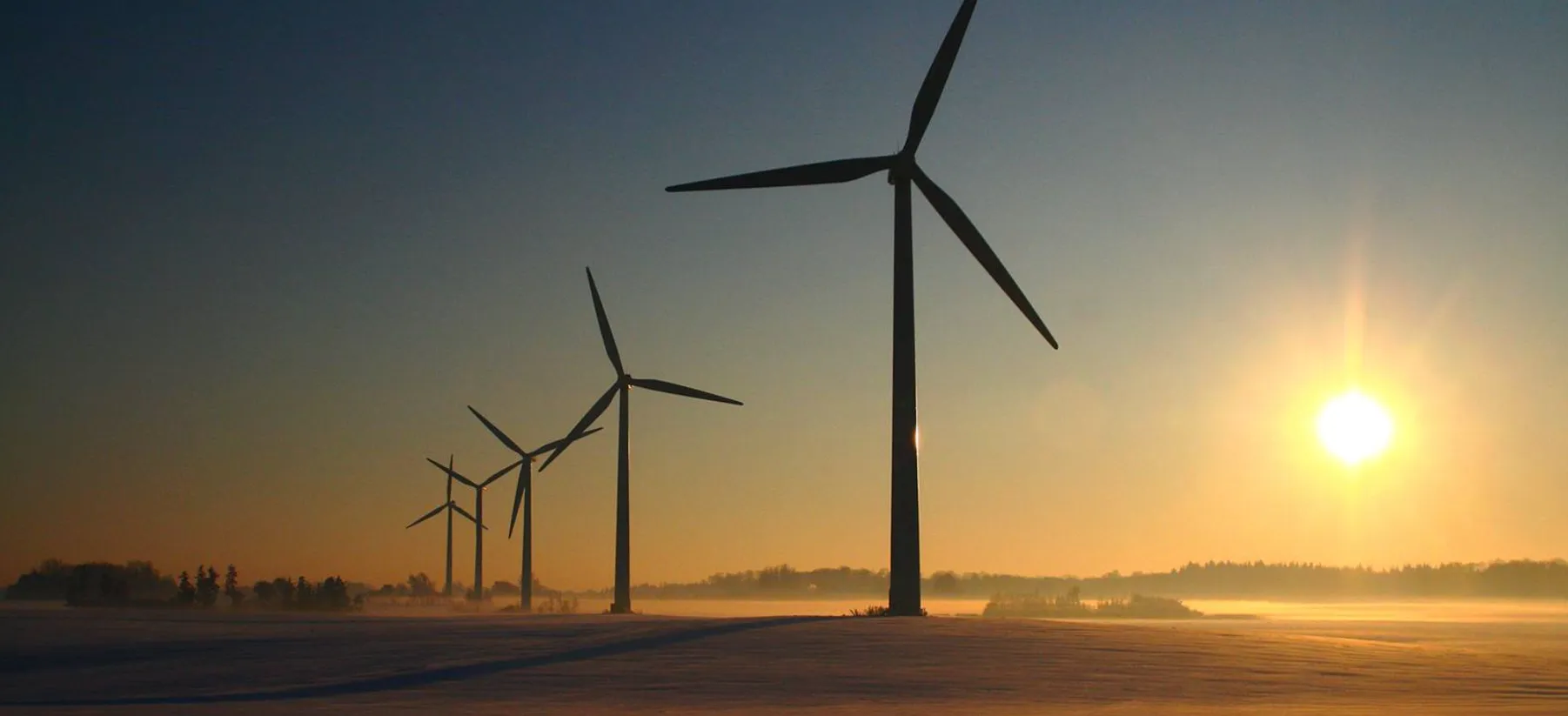 Best Electricity Providers in Denmark (2026 Guide)