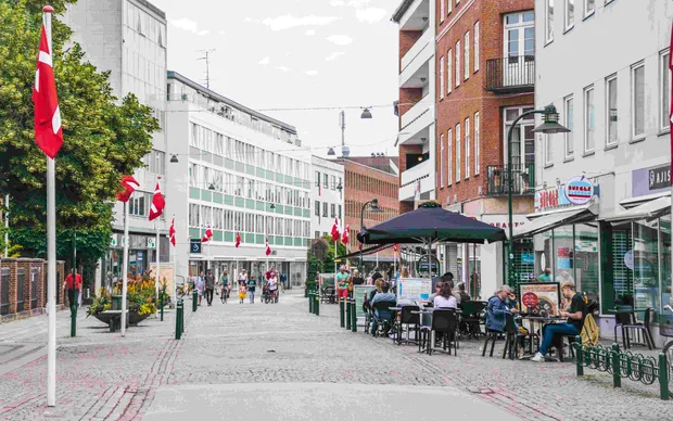 Survival Guide to Roskilde