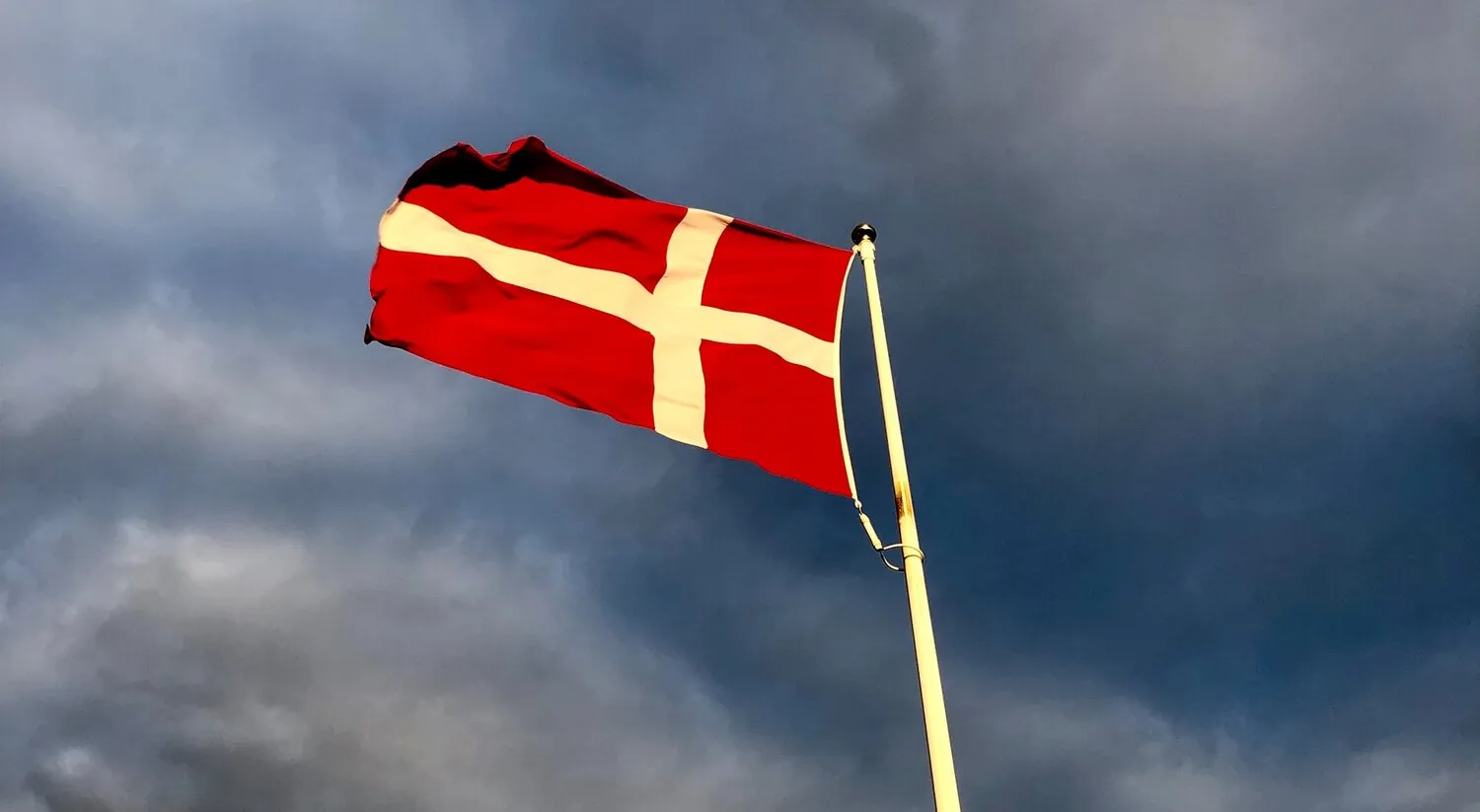 Reduction of English programs in Danish universities